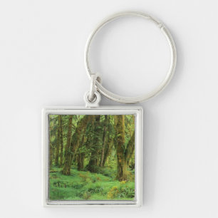 WA, Olympic NP, Quinault Rain Forest, moss Key Ring