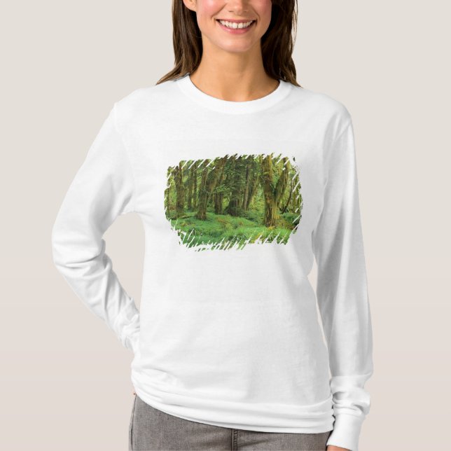 WA, Olympic NP, Quinault Rain Forest, moss T-Shirt (Front)