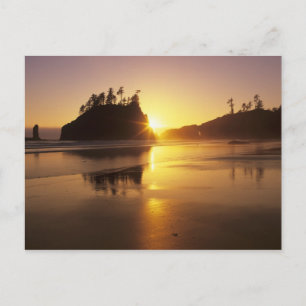 WA, Olympic NP, Second Beach at sunset Postcard