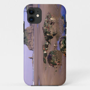 WA, Olympic NP, Second Beach with tidepools and Case-Mate iPhone Case