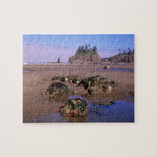 WA, Olympic NP, Second Beach with tidepools and Jigsaw Puzzle