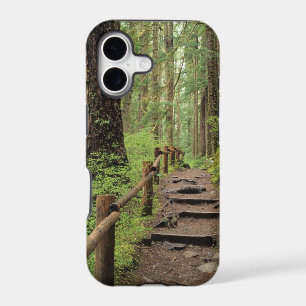WA, Olympic NP, Sol Duc Valley, rainforest