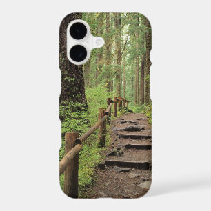 WA, Olympic NP, Sol Duc Valley, rainforest