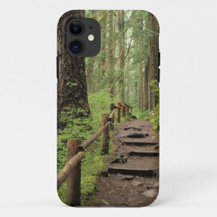 WA, Olympic NP, Sol Duc Valley, rainforest iPhone 11 Case