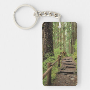WA, Olympic NP, Sol Duc Valley, rainforest Key Ring
