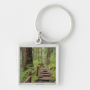 WA, Olympic NP, Sol Duc Valley, rainforest Key Ring