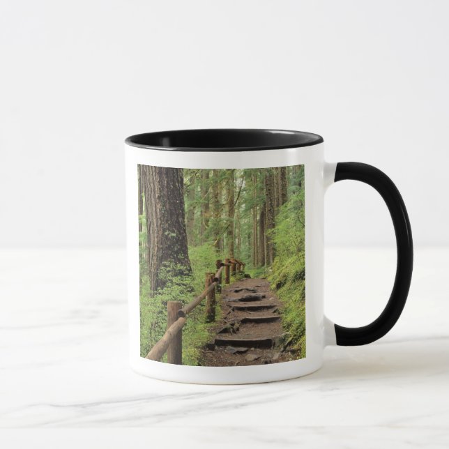 WA, Olympic NP, Sol Duc Valley, rainforest Mug (Right)