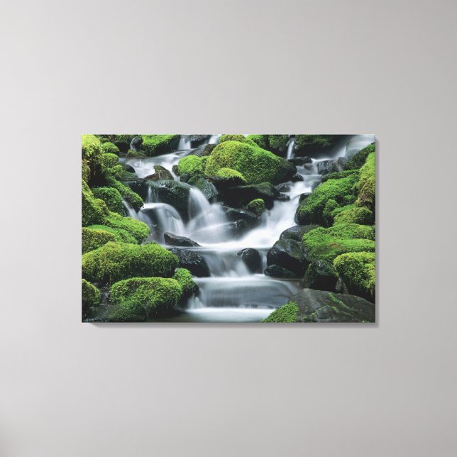 WA, Olympic NP, Sol Duc Valley, stream with Canvas Print (Front)