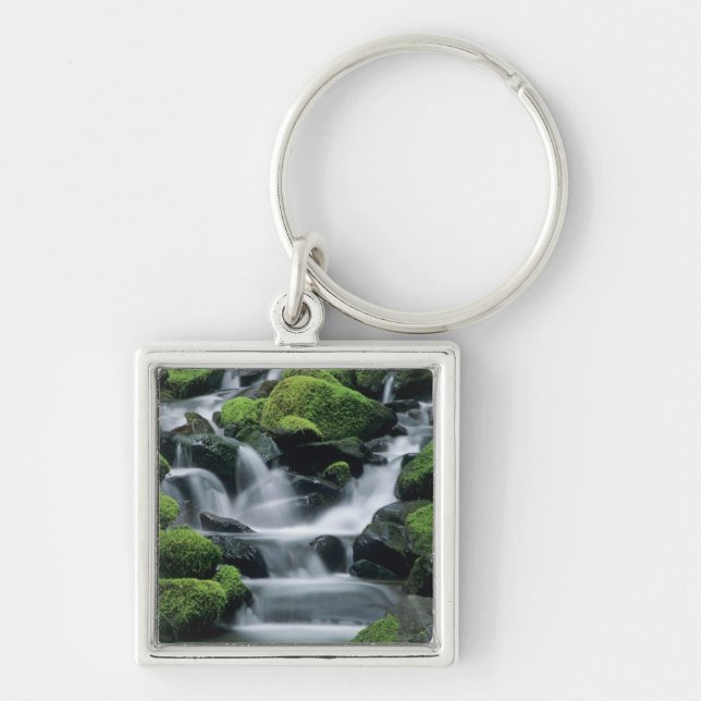 WA, Olympic NP, Sol Duc Valley, stream with Key Ring (Front)