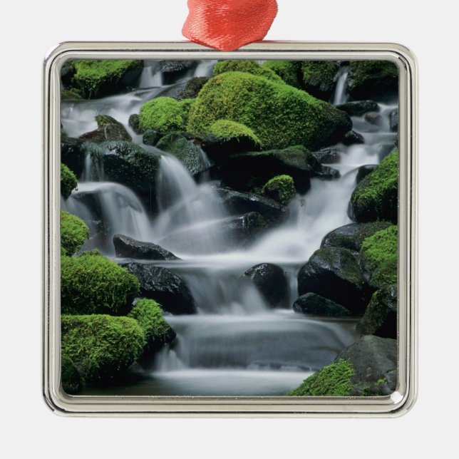 WA, Olympic NP, Sol Duc Valley, stream with Metal Tree Decoration (Front)