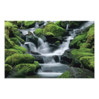 WA, Olympic NP, Sol Duc Valley, stream with