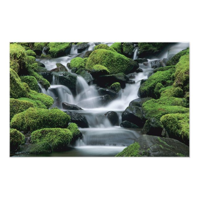 WA, Olympic NP, Sol Duc Valley, stream with Photo Print (Front)