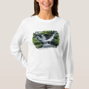 WA, Olympic NP, Sol Duc Valley, stream with T-Shirt