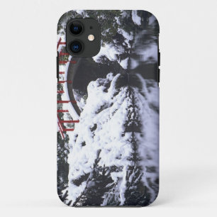WA, Seattle, Moon bridge and pond after winter 2 iPhone 11 Case