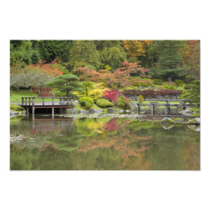 WA, Seattle, Washington Park Arboretum, 3 Photo Print
