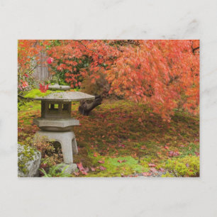 WA, Seattle, Washington Park Arboretum, Japanese 2 Postcard