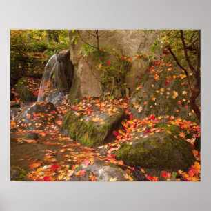 WA, Seattle, Washington Park Arboretum, Japanese Poster