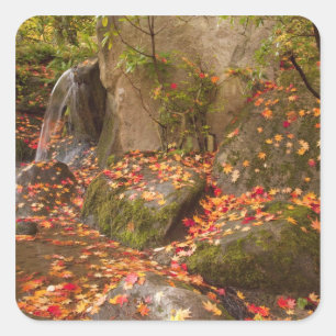 WA, Seattle, Washington Park Arboretum, Japanese Square Sticker