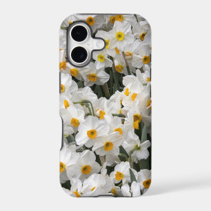 WA, Skagit Valley, Daffodil pattern