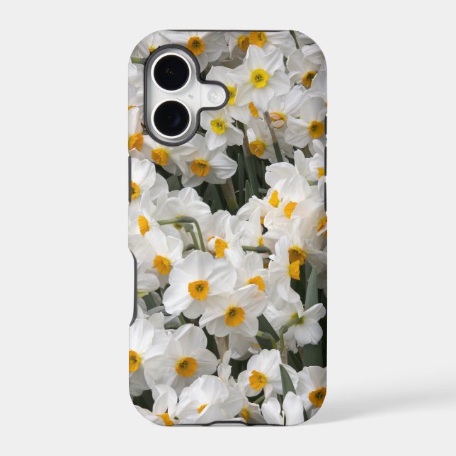 WA, Skagit Valley, Daffodil pattern (Back)