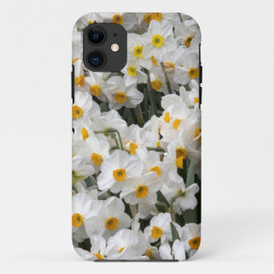 WA, Skagit Valley, Daffodil pattern iPhone 11 Case