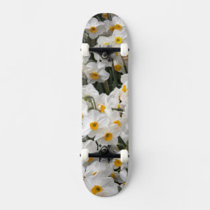 WA, Skagit Valley, Daffodil pattern Skateboard