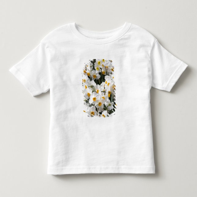 WA, Skagit Valley, Daffodil pattern Toddler T-Shirt (Front)