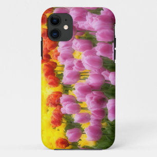 WA, Skagit Valley, Roozengaarde Tulip Garden, 2 iPhone 11 Case