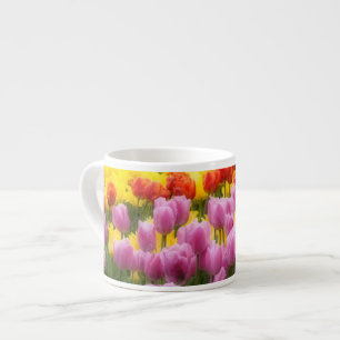 WA, Skagit Valley, Roozengaarde Tulip Garden, 2 Espresso Cup