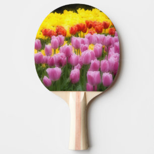 WA, Skagit Valley, Roozengaarde Tulip Garden, 2 Ping Pong Paddle