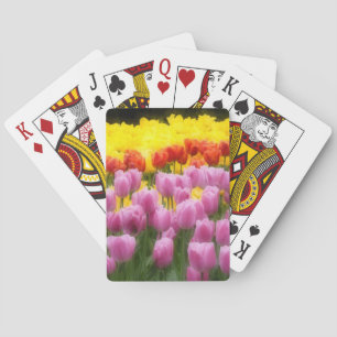 WA, Skagit Valley, Roozengaarde Tulip Garden, 2 Playing Cards