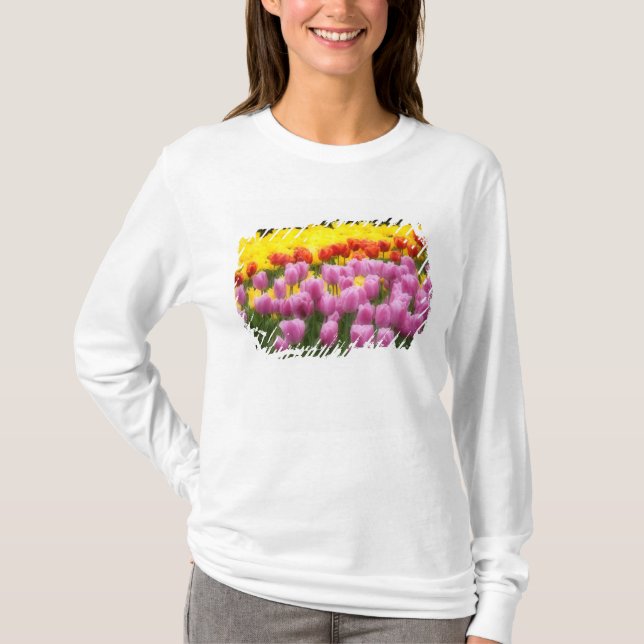 WA, Skagit Valley, Roozengaarde Tulip Garden, 2 T-Shirt (Front)