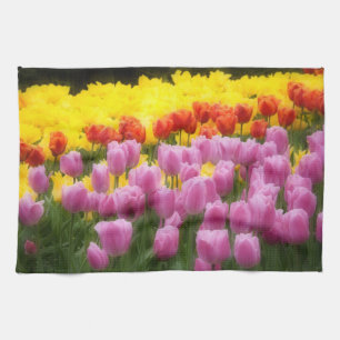 WA, Skagit Valley, Roozengaarde Tulip Garden, 2 Tea Towel