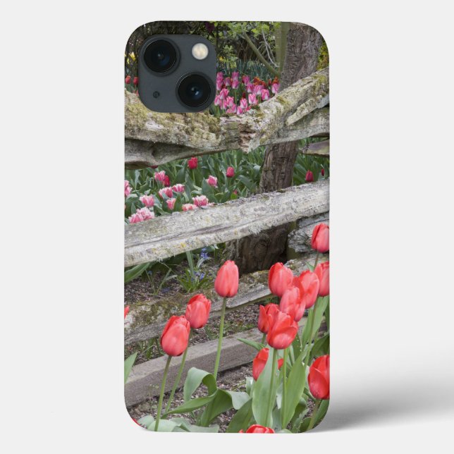 WA, Skagit Valley, Roozengaarde Tulip Garden, Case-Mate iPhone Case (Back)