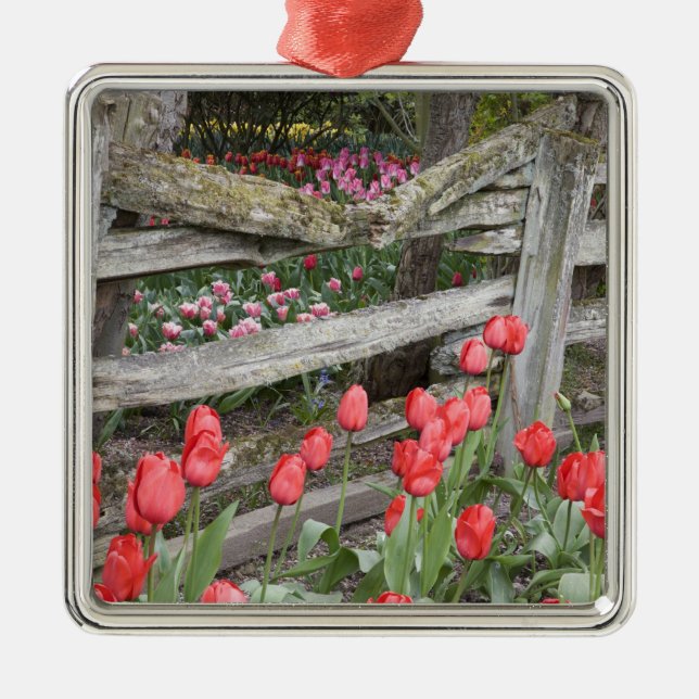 WA, Skagit Valley, Roozengaarde Tulip Garden, Metal Tree Decoration (Front)