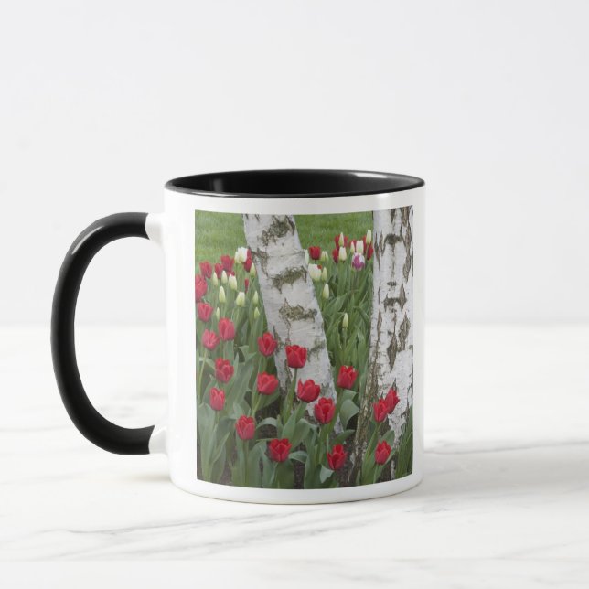 WA, Skagit Valley, Roozengaarde Tulip Garden Mug (Left)