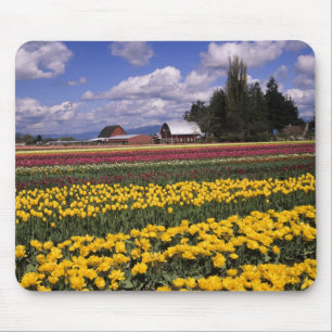 WA, Skagit Valley, Skagit Valley Tulip Mouse Pad