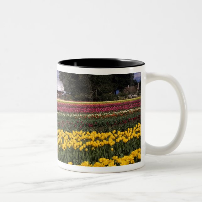 WA, Skagit Valley, Skagit Valley Tulip Two-Tone Coffee Mug (Right)