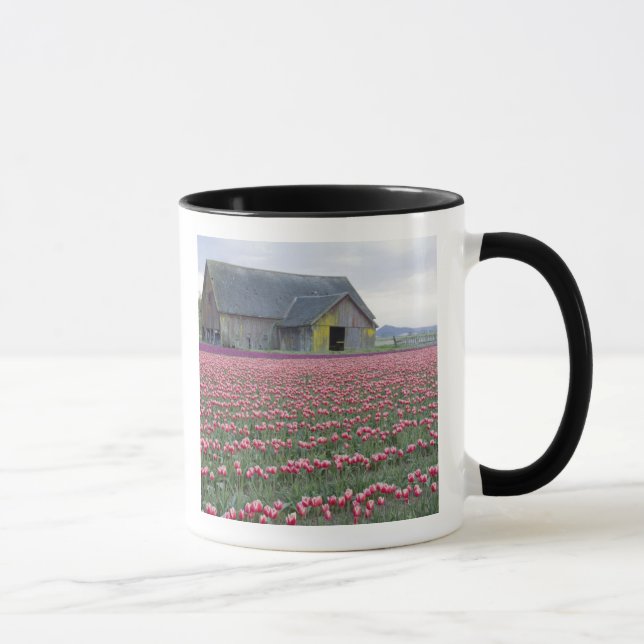 WA, Skagit Valley, Tulip Field and Barn Mug (Right)