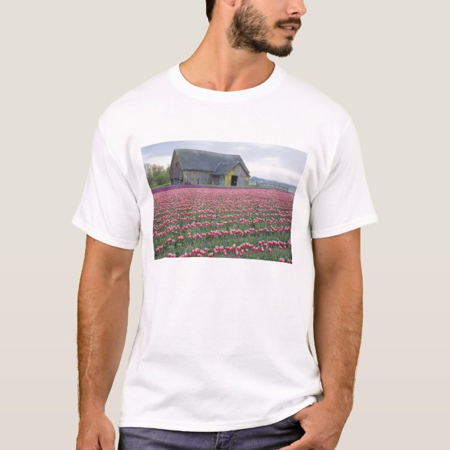 WA, Skagit Valley, Tulip Field and Barn T-Shirt (Front)