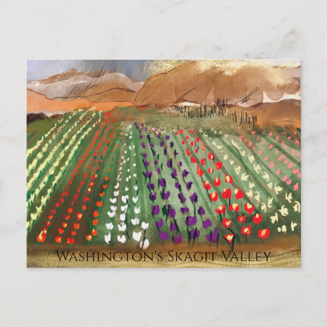 WA Skagit Valley Tulip Fields Spring Dreaming Postcard (Front)