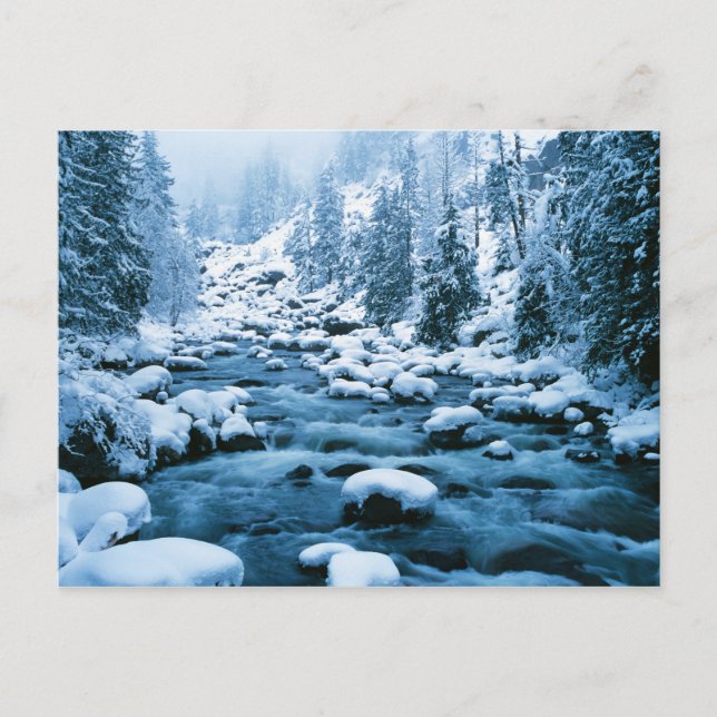 WA, Wenatchee National Forest, Cascade Postcard (Front)