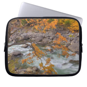 WA, Wenatchee National Forest, Maple tree and Laptop Sleeve