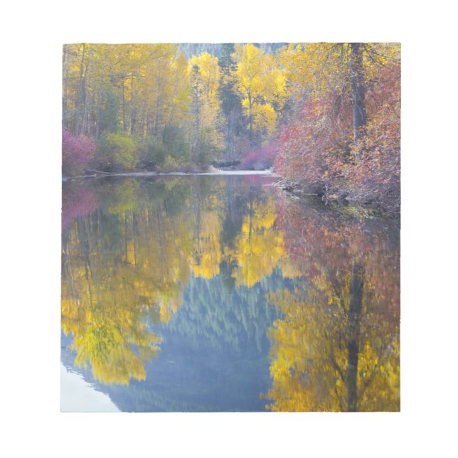 WA, Wenatchee National Forest, Whitepine Creek, Notepad (Front)
