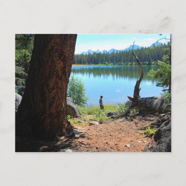 Wabasso Lake Postcard (Front)