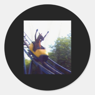 Wacky Horse Riding Roller Coaster Meme Internet Fu Classic Round Sticker