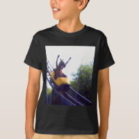 Wacky Horse Riding Roller Coaster Meme Internet Fu