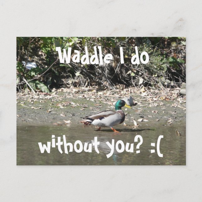 Waddle I do, without you? :( Postcard (Front)