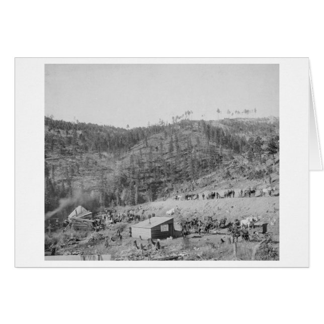 Wade and Jones Railroad Camp in Whitewood Canyon (Front Horizontal)