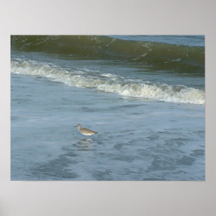 Wader Poster
